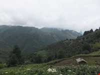 ییلاق کوربار