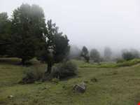 ییلاق کوربار