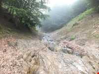 ییلاق کوربار