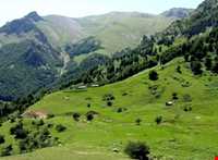 ییلاق کوربار