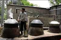 Meymand Extract Plants