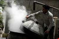 Meymand Extract Plants