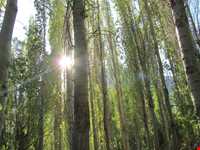 روستای خرم کوه