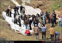 مراسم سنتی ورف‌چال