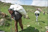 مراسم سنتی ورف‌چال