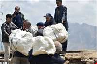 مراسم سنتی ورف‌چال