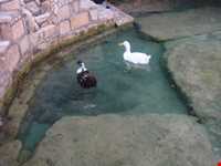 Kariz Underground City