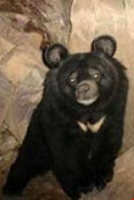 پناهگاه حیات وحش زریاب