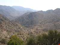 پناهگاه حیات وحش زریاب