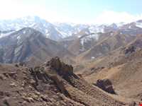 پناهگاه حیات وحش زریاب