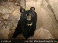 پناهگاه حیات وحش زریاب