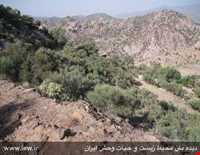 پناهگاه حیات وحش زریاب