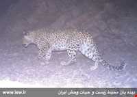 پناهگاه حیات وحش دربند