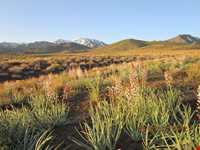 Laleh Zar Mountain ( King Mountain )