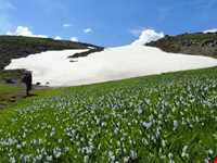 Leysar Protected Area