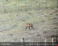 Leysar Protected Area