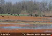 Leysar Protected Area