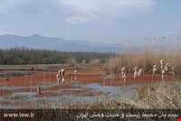 Leysar Protected Area