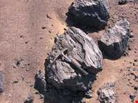 دشت گندم بریان ( ریگ سوخته )