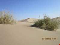 Sadegh abad Dunes