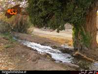 Kerman's Nazar Garden