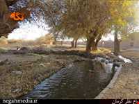 Kerman's Nazar Garden