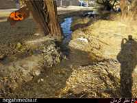 باغ نظر کرمان