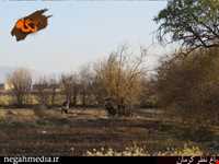 باغ نظر کرمان