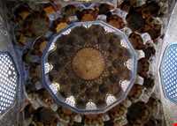 مجموعه ابراهیم خان