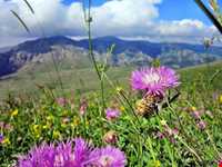 چشمه خان بولاغی