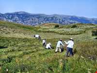 چشمه خان بولاغی