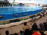 پارک دلفینها