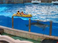 پارک دلفینها