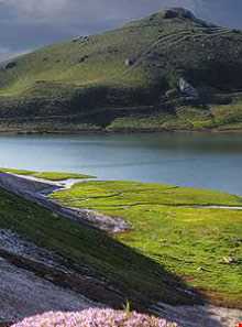 ییلاق سیلوانا