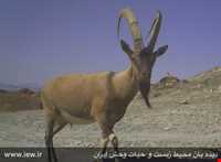 Siahkoh National Park