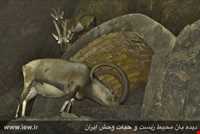 Siahkoh National Park