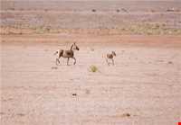 Kalmand And Bahadoran Protected Area