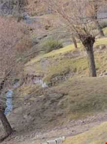 روستای ده لولو