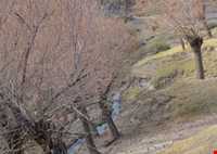 روستای ده لولو