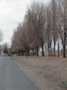 روستای قناتغستان