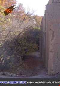 خانه خوشنویس