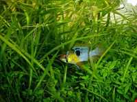 آکواریوم و نمایشگاه خزندگان