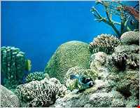 آکواریوم و نمایشگاه خزندگان