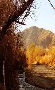 روستای سیرچ