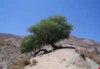 Kamar Sorkh Hunting Prohibited Region