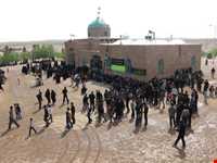 امامزاده سلطان ابوالقاسم