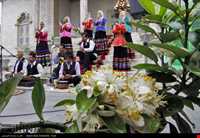 جشنواره بهارنارنج