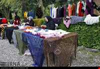 جشنواره بهارنارنج