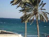 قلعه پرتغالی‌ها قشم