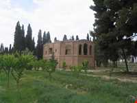 باغ امیرآباد